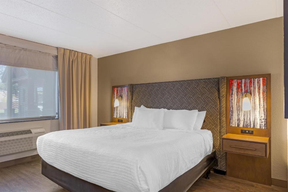 King Room with Roll-In Shower - Disability Access interior